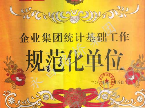 統(tǒng)計基礎工作規(guī)范化單位