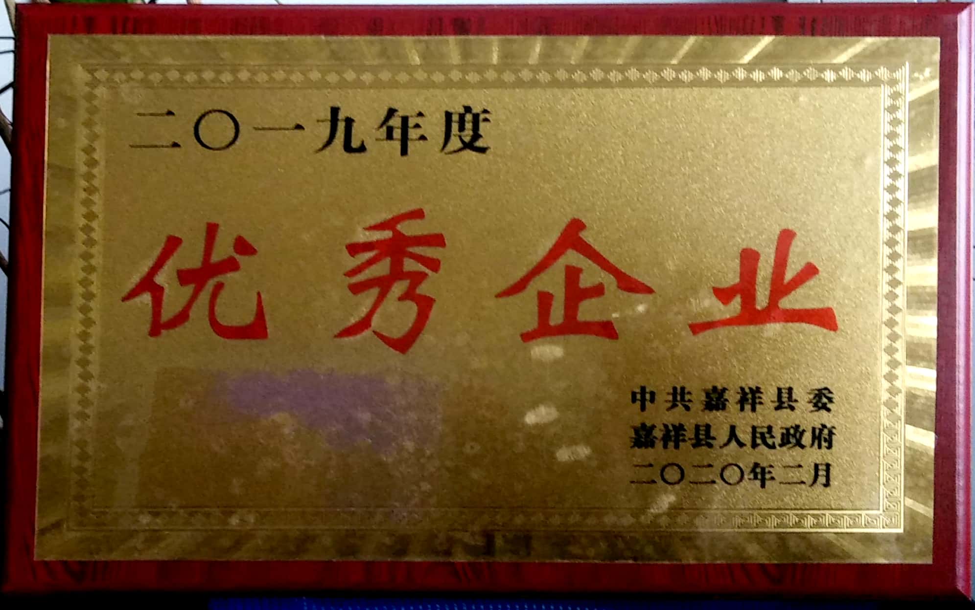 2019年優秀企業